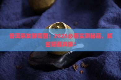 普洱茶发酵的霉菌