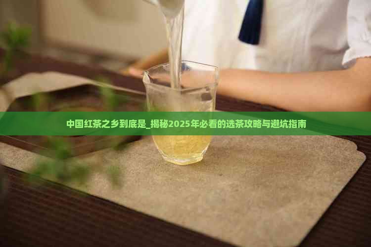 中国红茶之乡到底是
