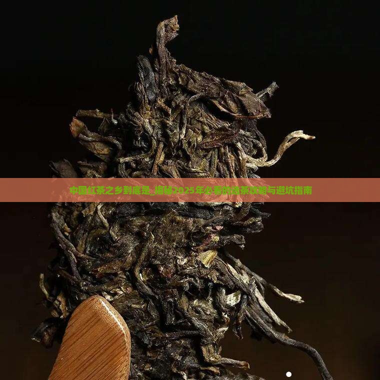 中国红茶之乡到底是