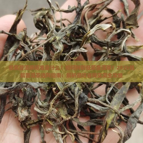 低氟普洱茶标准是什么意思