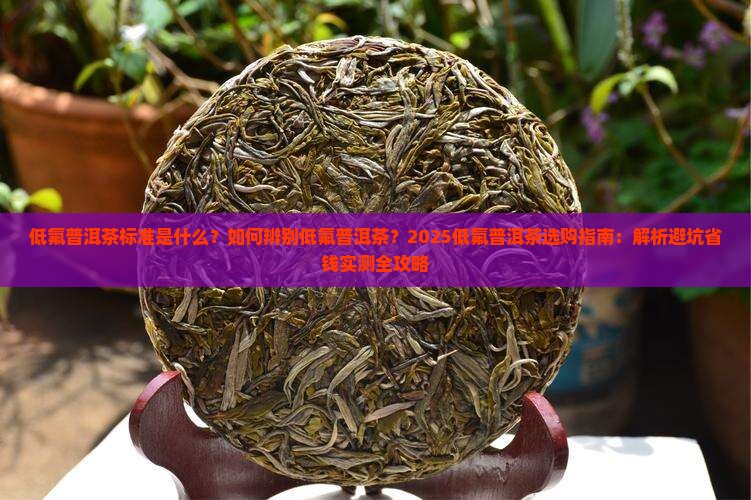 低氟普洱茶标准是什么意思