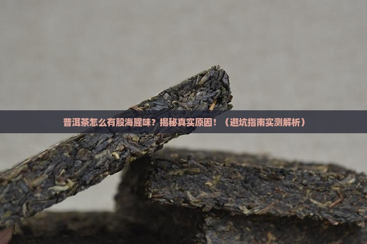 普洱茶有一股海腥味