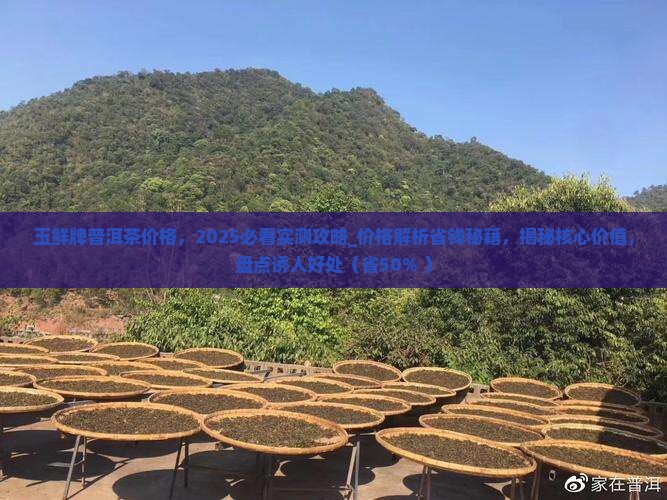 玉鲜牌普洱茶价格