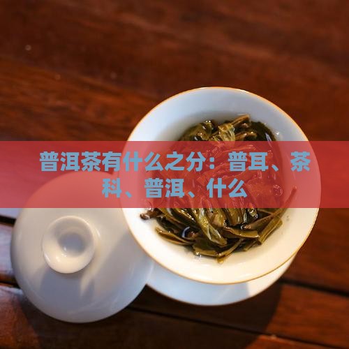 普洱茶有什么之分