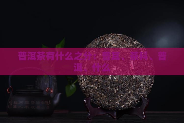 普洱茶有什么之分