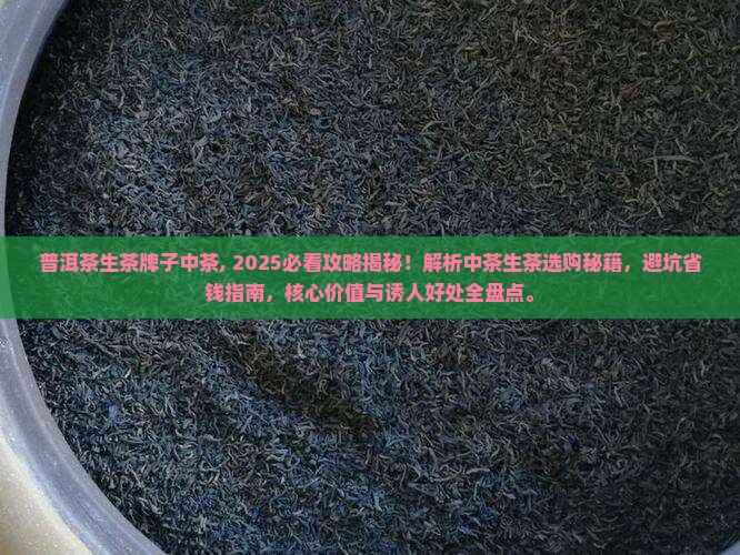 普洱茶生茶牌子中茶