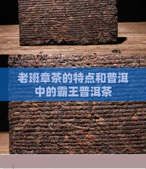 老班章茶的特点和茶
