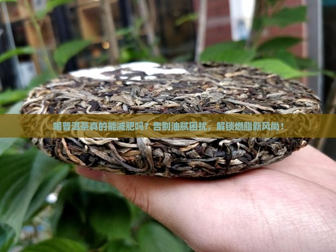 喝普洱茶有关的字句