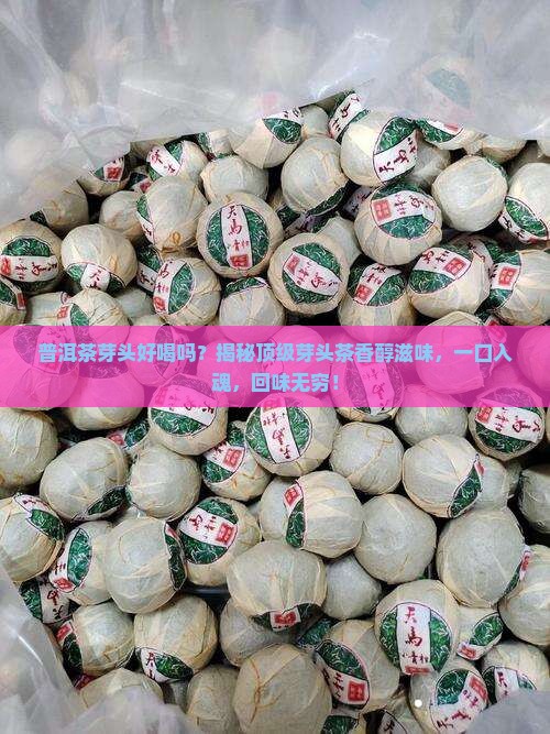 普洱茶芽头好喝吗