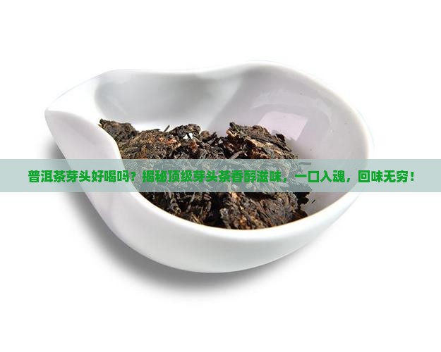 普洱茶芽头好喝吗