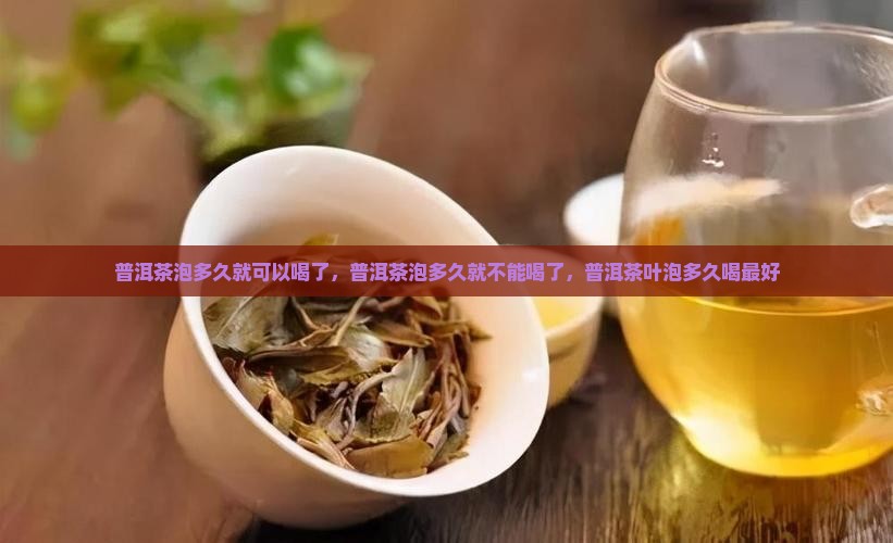 普洱茶泡多久就可以喝了