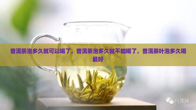 普洱茶泡多久就可以喝了