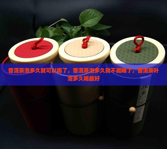 普洱茶泡多久就可以喝了