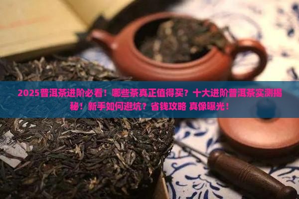 十大进阶普洱茶排行榜