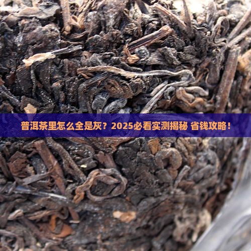 普洱茶很多灰尘原因是啥