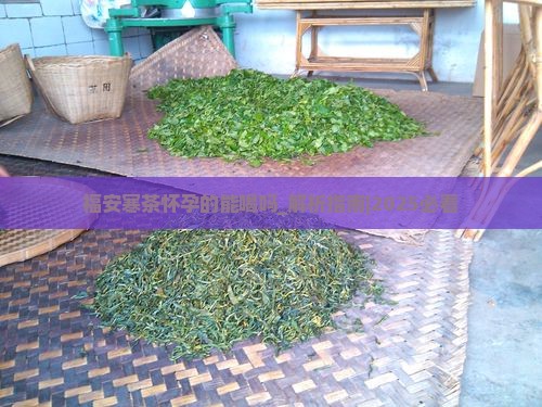 福安寒茶怀孕的能喝吗