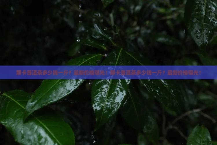 那卡普洱茶多少钱一斤