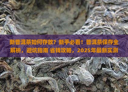 新普洱茶如何存放