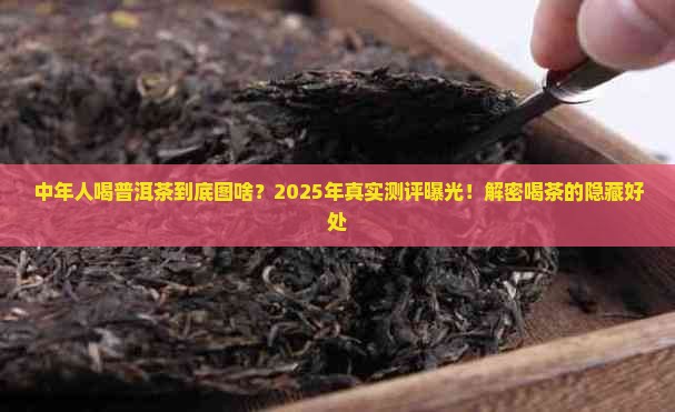 中年人喝普洱茶好