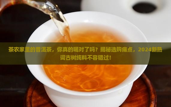 茶农家里的普洱茶