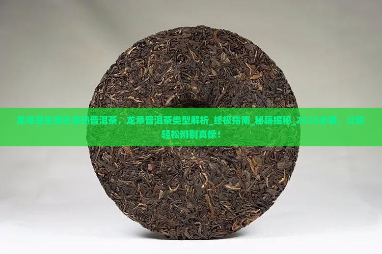 龙章是生普还是熟普洱茶