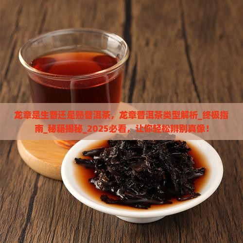 龙章是生普还是熟普洱茶