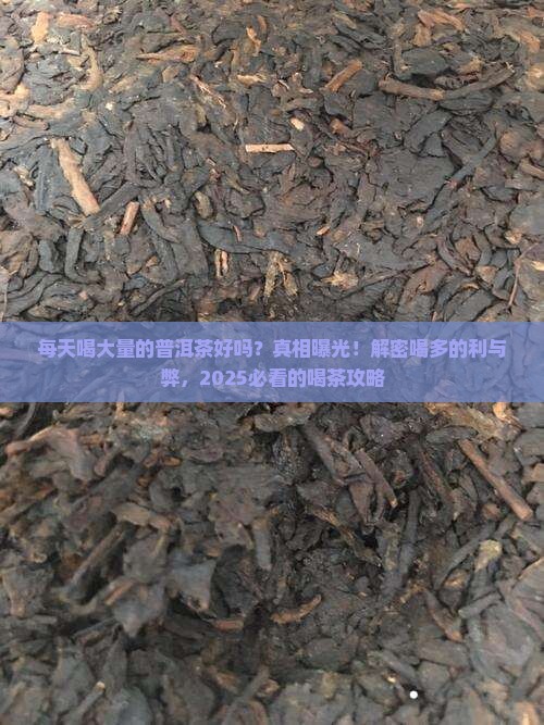 每天喝大量的普洱茶好吗