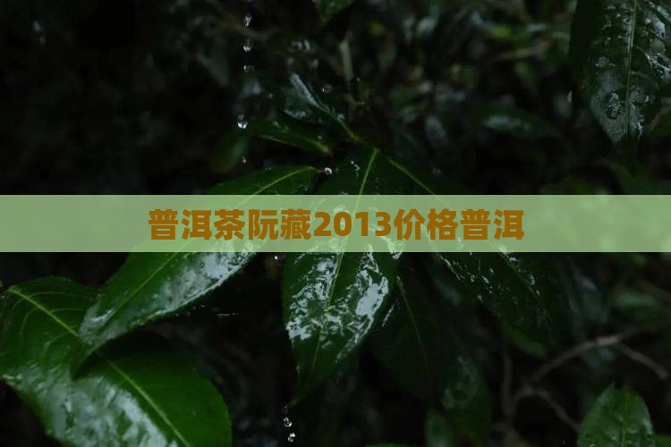 普洱茶阮藏2013