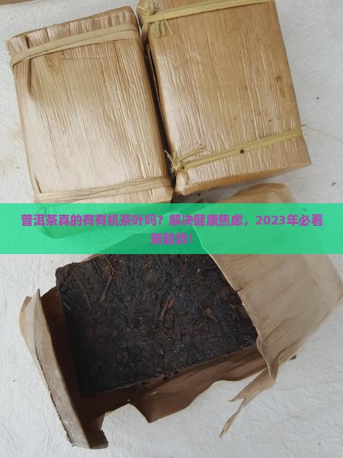 普洱茶有没有有机茶叶