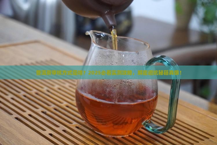 普洱茶审核方式是什么样的