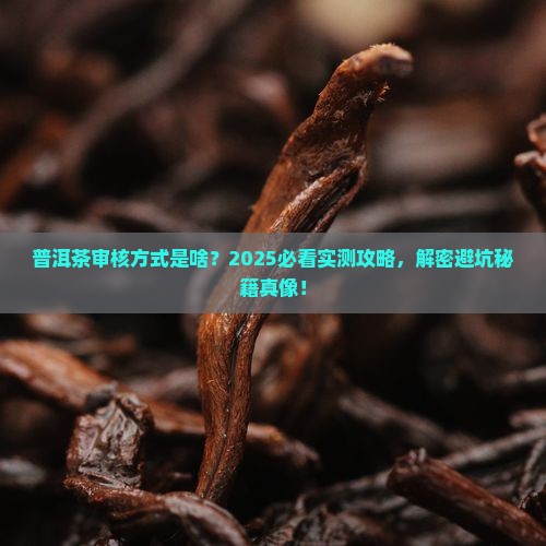 普洱茶审核方式是什么样的