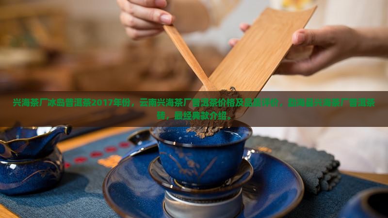兴海茶厂冰岛普洱茶