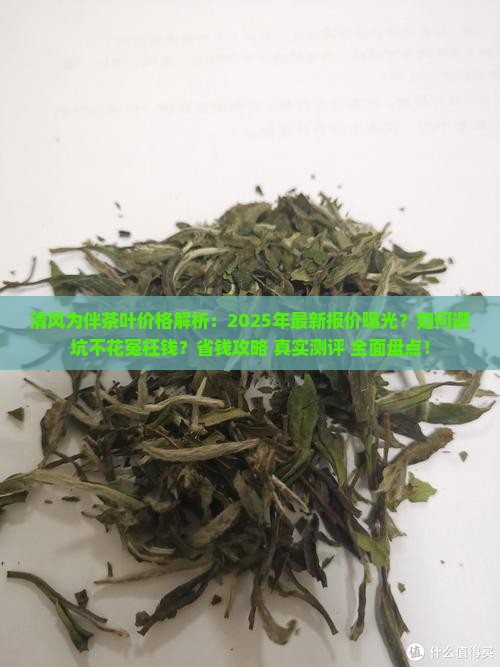 清风为伴茶叶价格