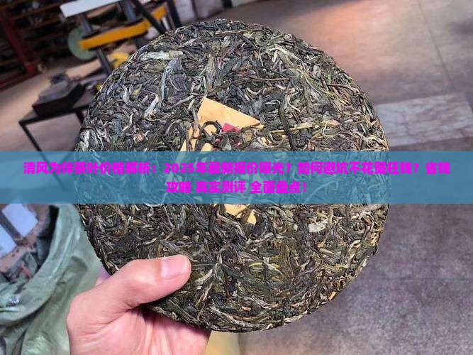 清风为伴茶叶价格
