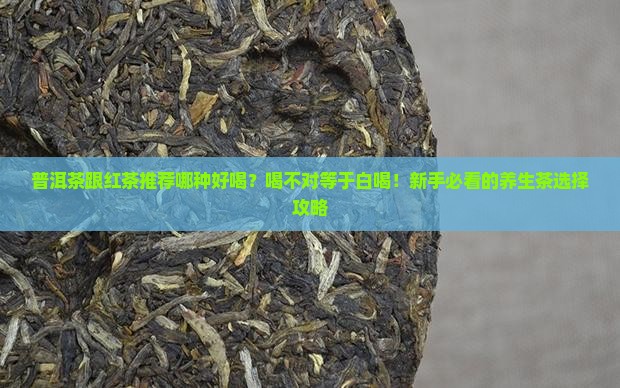 普洱茶跟红茶推荐哪种好喝