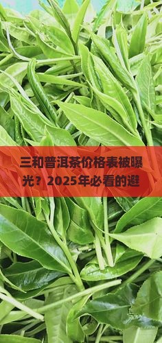 三和普洱茶价格表