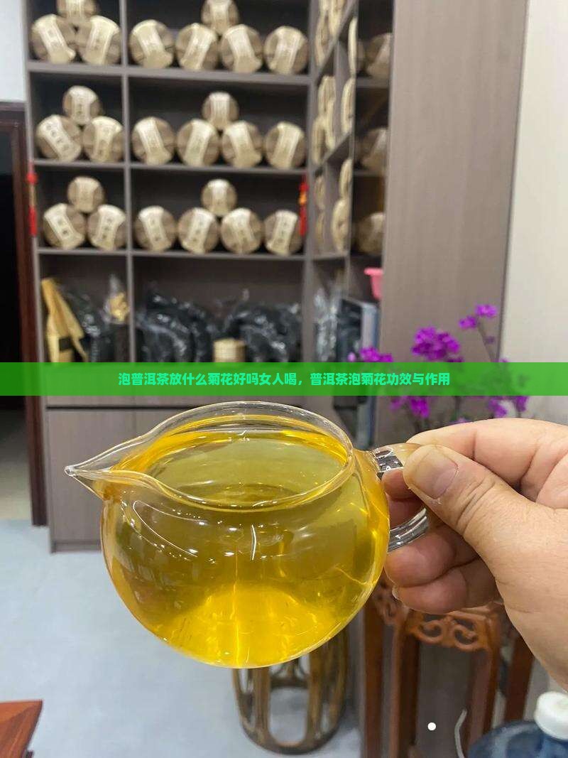 泡普洱茶放什么菊花好吗