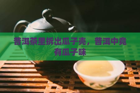 普洱茶里拆出瓜子壳