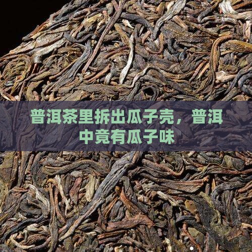 普洱茶里拆出瓜子壳