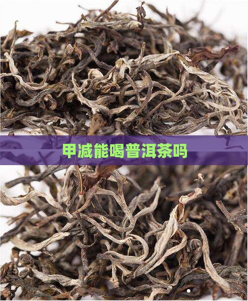 甲减能喝普洱茶吗