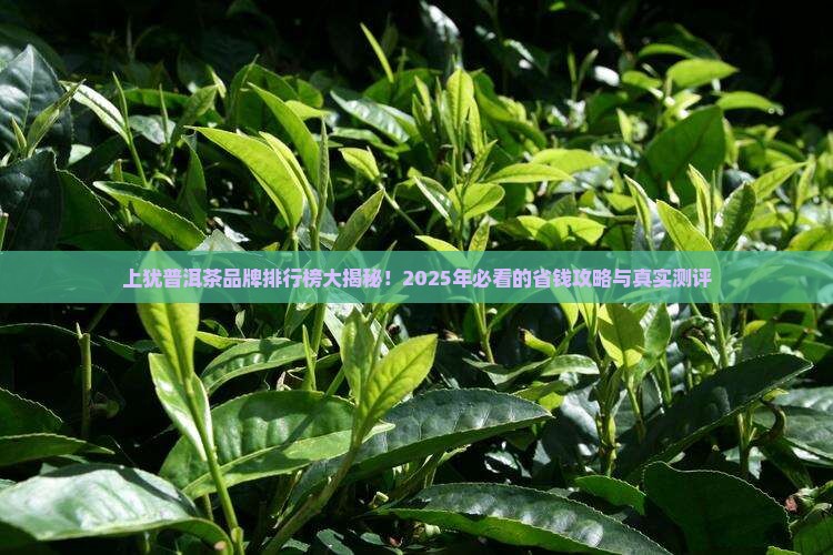 上犹普洱茶品牌排行榜及价格