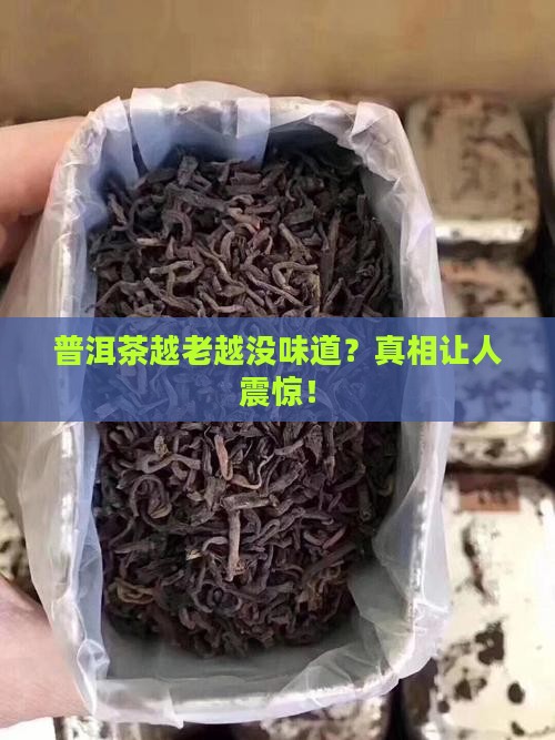 普洱茶越老越没味道