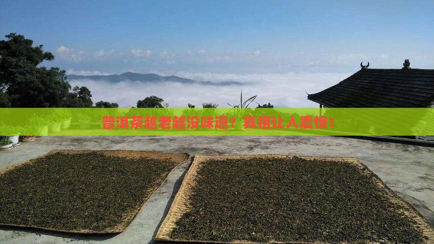 普洱茶越老越没味道
