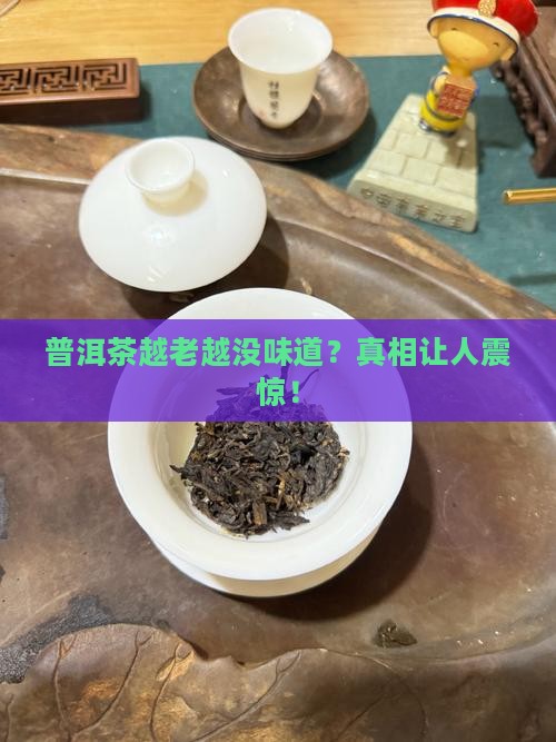 普洱茶越老越没味道