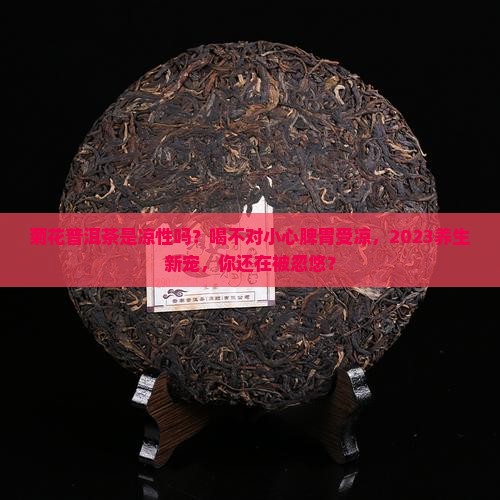 菊花普洱茶是凉性