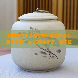 菊花普洱茶是凉性