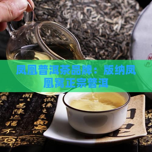 西双版纳凤凰窝普洱茶