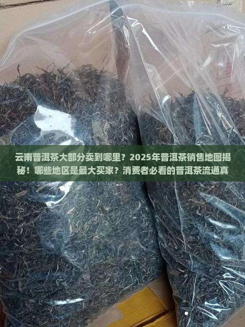 云南普洱茶大部分卖到哪里