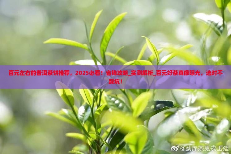 百元左右的普洱茶饼推荐