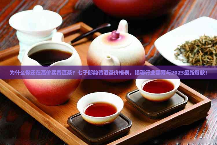 七子郎韵普洱茶价格表